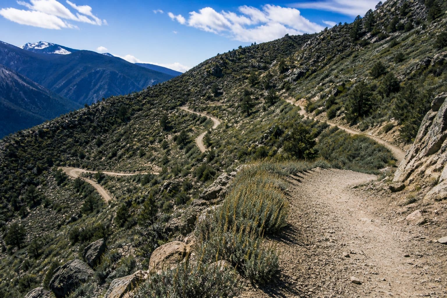 A winding mountain trail